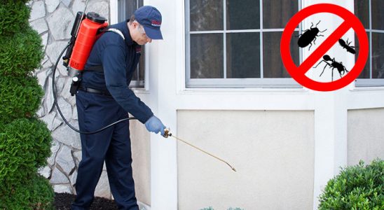 Çifteler Hamam Böceği İlaçlama böcek ilaçlama ve haşere kontrolü — ilaclama-tr.com